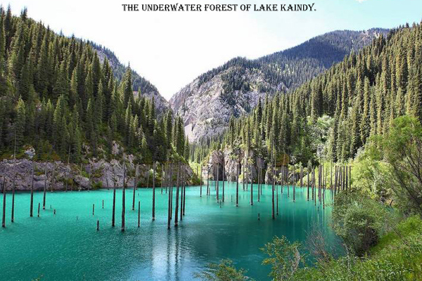 12 Craziest Things in Nature